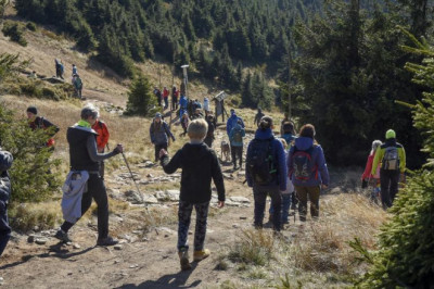 Ohrožené rostliny na Králickém Sněžníku bude před neukázněnými turisty chránit plot
